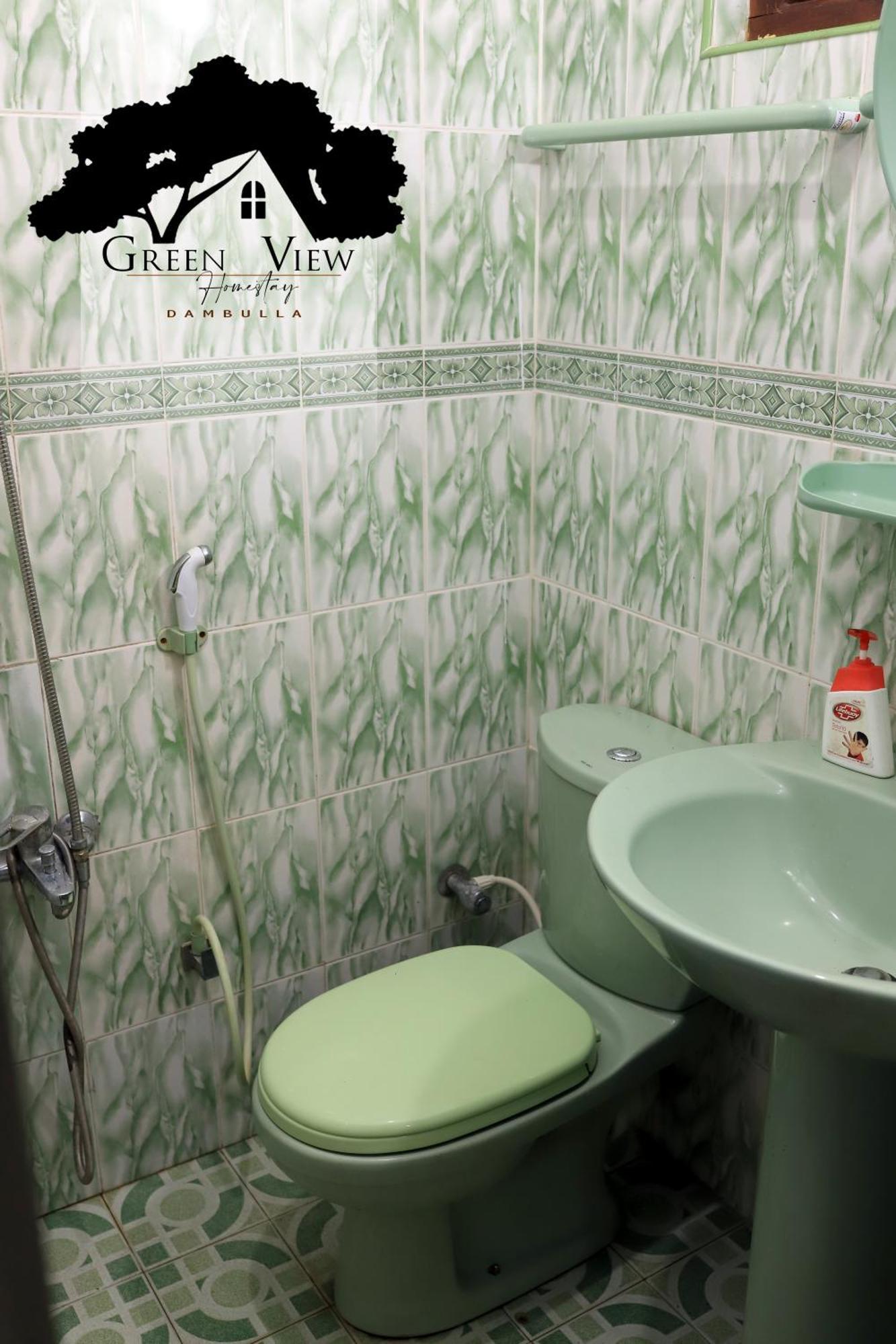 Green View دامبولا المظهر الخارجي الصورة